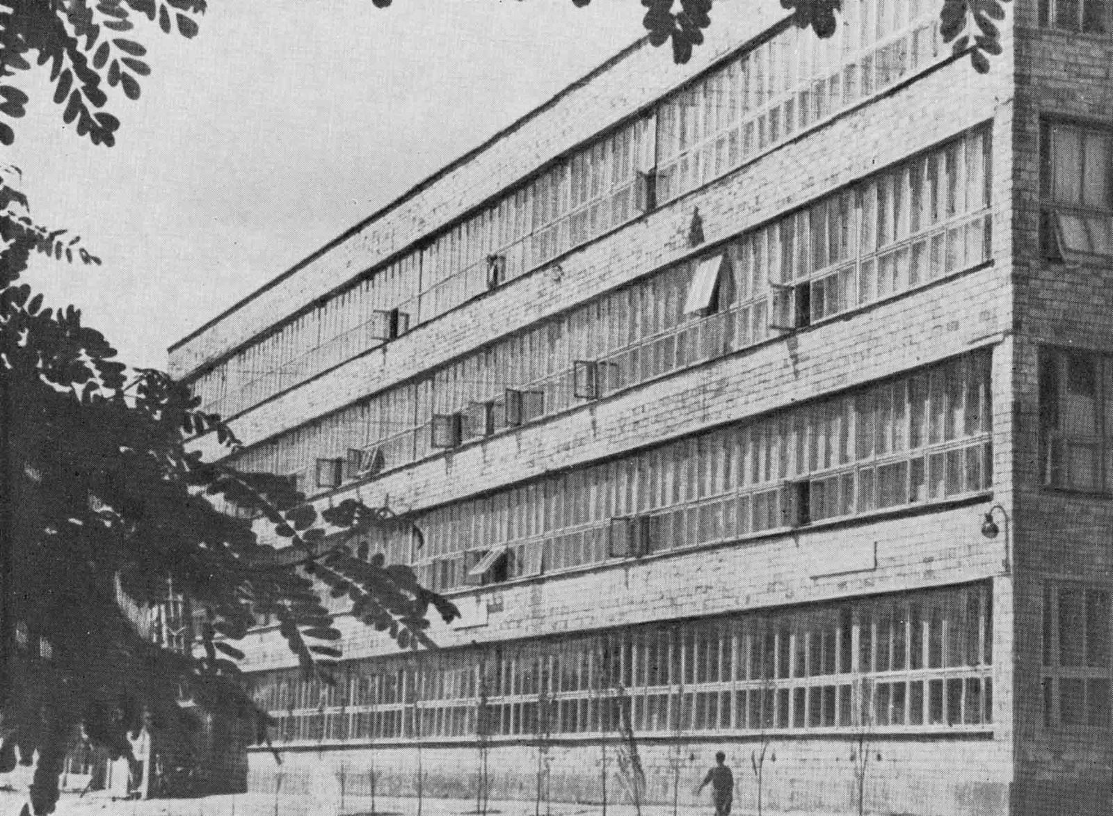 Фабрик 40 лет ВЛКСМ